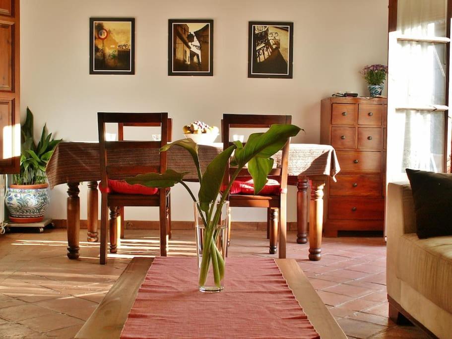 Apartamento Oasis 格拉纳达 外观 照片